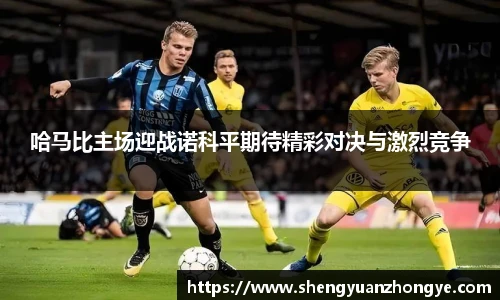 哈马比主场迎战诺科平期待精彩对决与激烈竞争