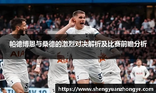 帕德博恩与桑德的激烈对决解析及比赛前瞻分析